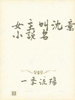 女主叫沈意欢的小说名