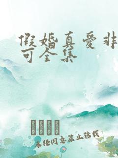 假婚真爱非她不可全集