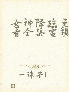 女神降临免费观看全集电视剧韩剧网