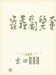 你是我的不可言说短剧免费播放全集