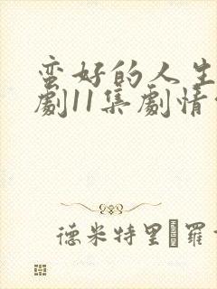 蛮好的人生电视剧11集剧情介绍