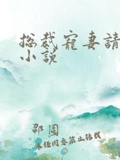 总裁宠妻请低调小说