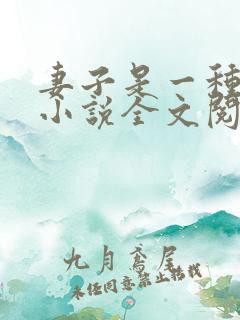 妻子是一种感觉小说全文阅读