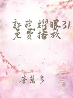 许我耀眼31集免费播放