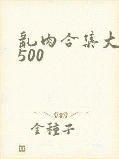 乱肉合集大杂烩500