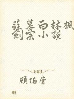 苏慕白林枫神霄剑宗小说