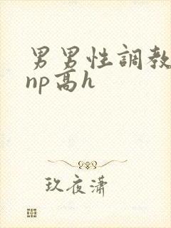 男男性调教小说np高h