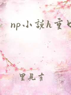 np小说h重口