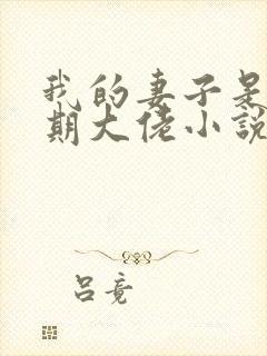 我的妻子是大乘期大佬小说无删减