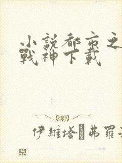 小说都市之狂婿战神下载