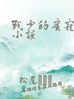 战少的蜜宠娇妻小说