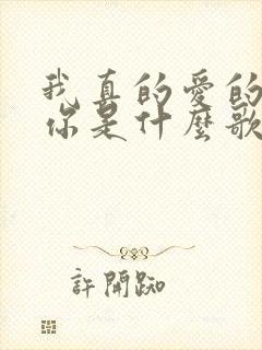 我真的爱的就是你是什么歌