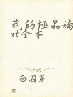 我的极品娇妻txt全本