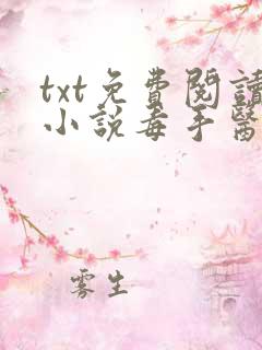 txt免费阅读小说毒手医妃王爷被休夫了