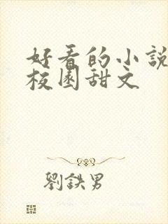 好看的小说推荐校园甜文