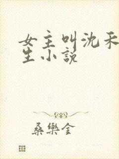 女主叫沈禾的重生小说