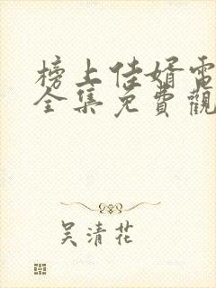 榜上佳婿电视剧全集免费观看高清