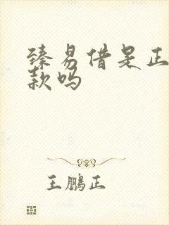 臻易借是正规贷款吗