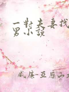 一对夫妻找单身男小说