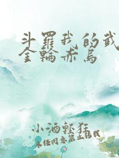 斗罗我的武魂是金轮赤乌