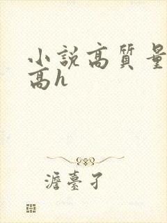 小说高质量多肉高h