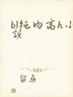 bl纯肉高h小说