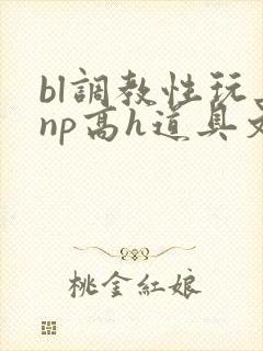 bl调教性玩具np高h道具文