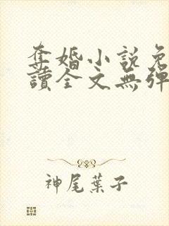 夺婚小说免费阅读全文无弹窗