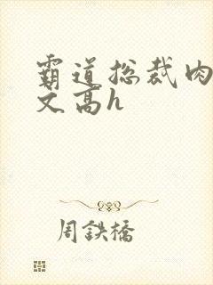 霸道总裁肉多荤文高h