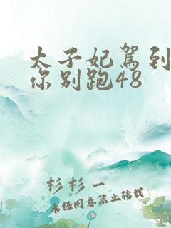 太子妃驾到总裁你别跑48