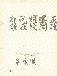 许我耀眼原著小说在线阅读