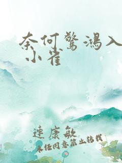 奈何惊鸿入我心 小雀