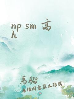 np sm 高h