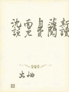 沈南月薄斯臣小说免费阅读最新章节