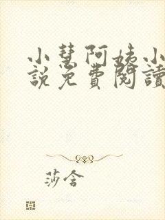 小慧阿姨小辉小说免费阅读最新章节