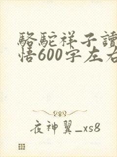 骆驼祥子读后感悟600字左右