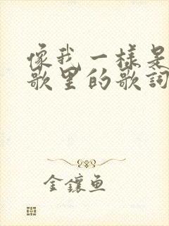 像我一样是哪首歌里的歌词