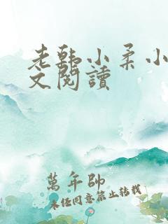 老韩小柔小说全文阅读