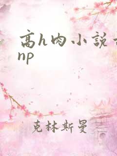 高h肉小说古言np