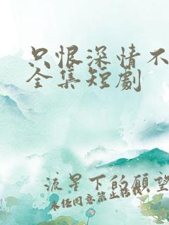 只恨深情不识鸢全集短剧