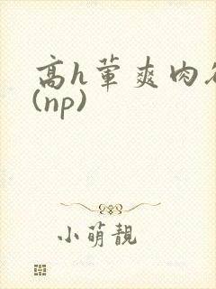 高h荤爽肉欲文(np)