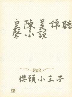 良陈美锦听书有声小说