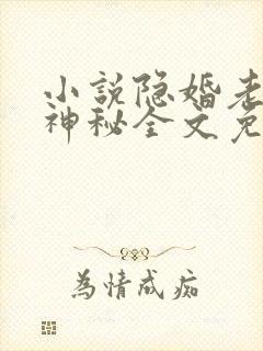 小说隐婚老公太神秘全文免费阅读