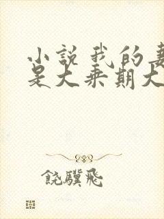 小说 我的妻子是大乘期大佬