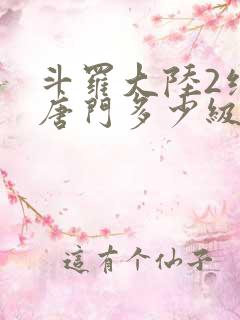 斗罗大陆2绝世唐门多少级