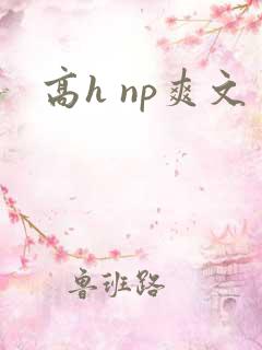 高h np爽文
