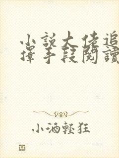 小说大佬追妻不择手段阅读