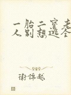 一胎二宝老婆大人别想逃全文免费阅读