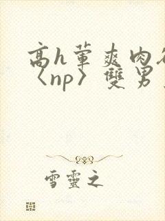 高h荤爽肉欲文〈np〉双男主