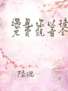 遇见你以后短剧免费观看全集